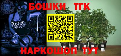 PSILOCYBIN Сланцы