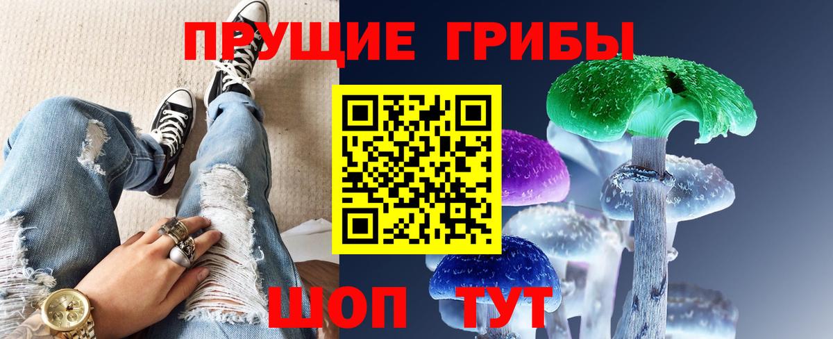 Москва  Псилоцибиновые грибы MAGIC MUSHROOMS  Вход с VPN 